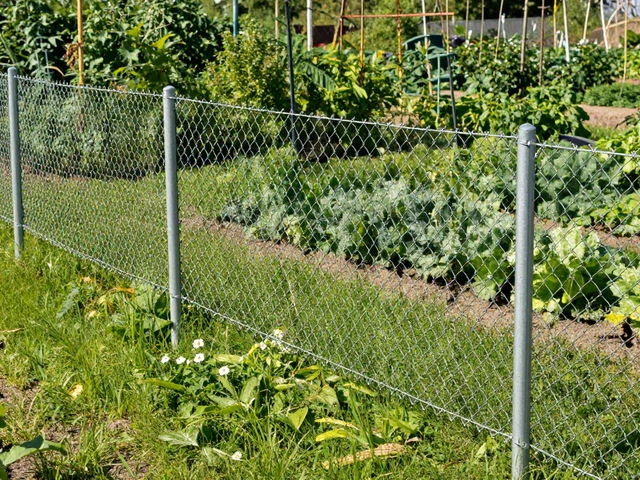 Что дешевле: забор из рабицы или деревянный? Сравнение цен и нюансов