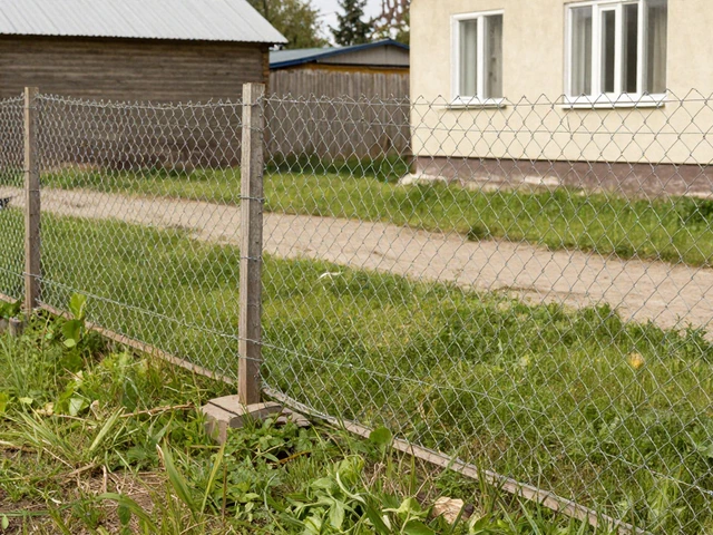 Самый дешевый забор для участка: сравнение материалов и цен в 2026 году
